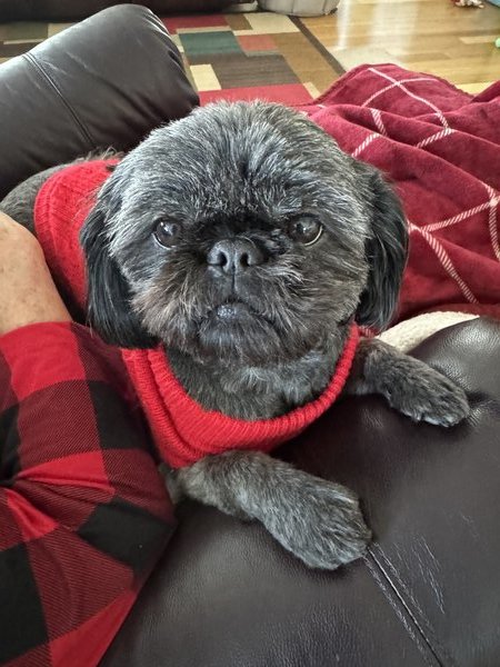 September 13, 2025 – Coco