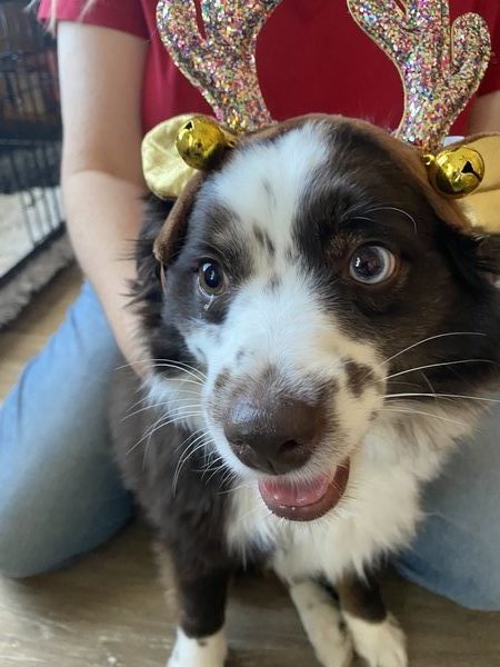 January 15, 2026 – Enzo January 15, 2026 – Enzo