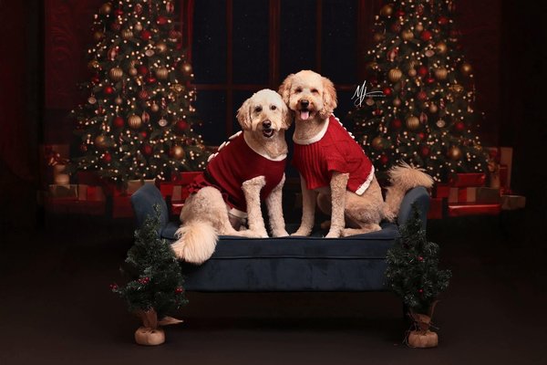 January 18, 2026 – Caroline and Ginger