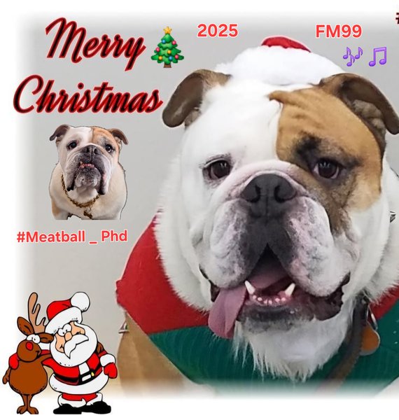 February 3, 2026 – Meatball