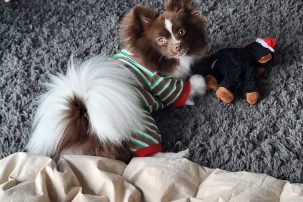 February 5, 2026 – Lula