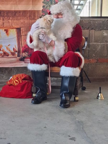 February 7, 2026 – Buttons