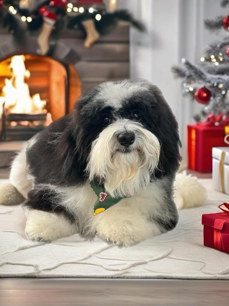 February 12, 2026 – Lyla