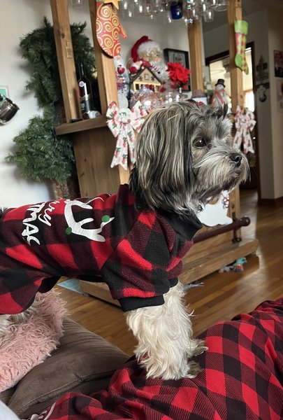 February 14, 2026 – Ruby