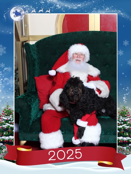 February 15, 2026 – Harley Quinn