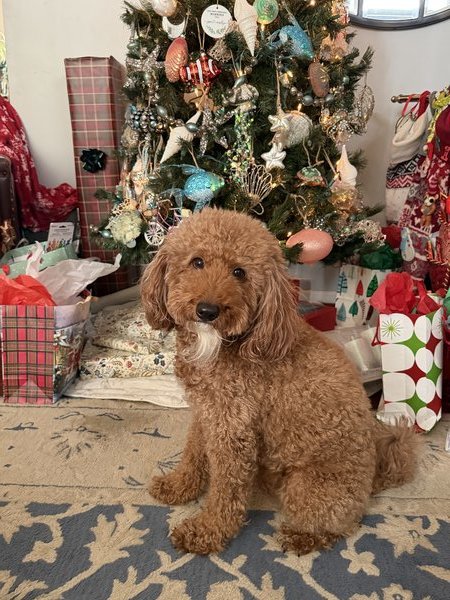 February 16, 2026 – Loki