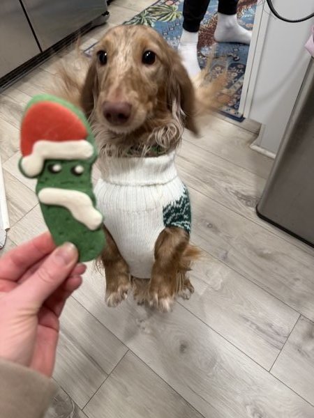 February 17, 2026 – Pickles February 17, 2026 – Pickles