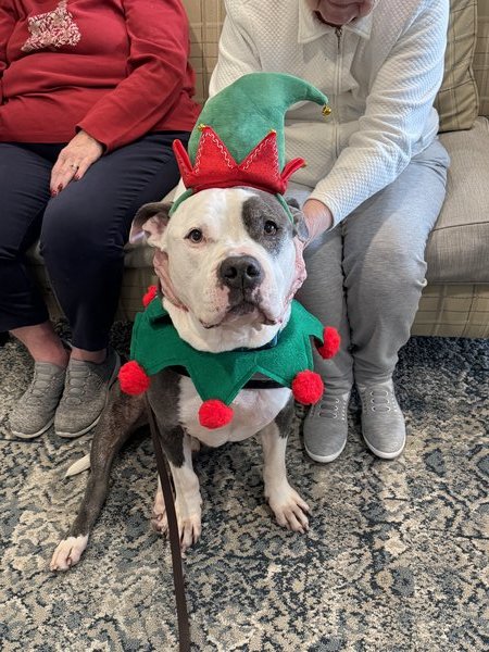 February 18, 2026 – Glock