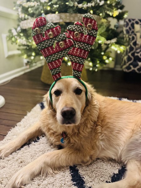 February 19, 2026 – Pizza