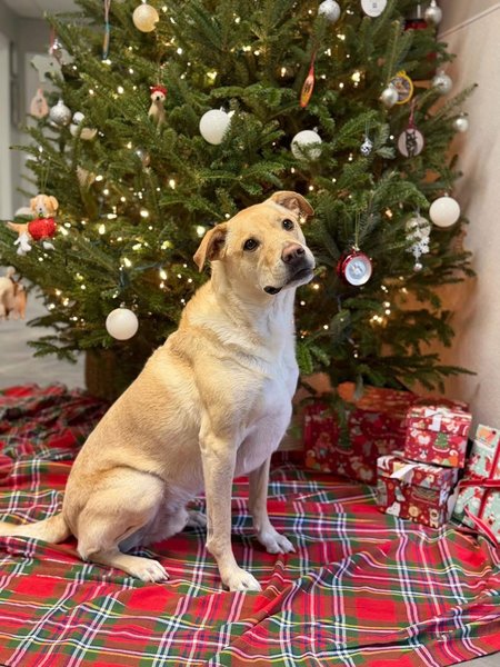 February 20, 2026 – Gary February 20, 2026 – Gary