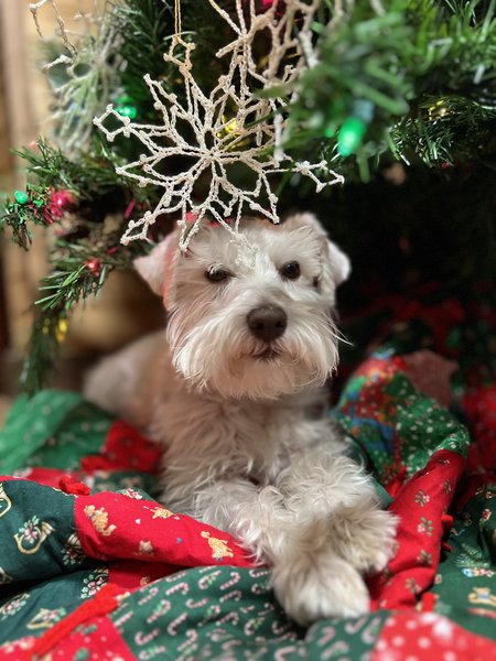 February 21, 2026 – Jethro