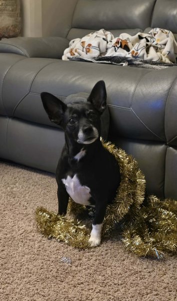 February 22, 2026 – Bella