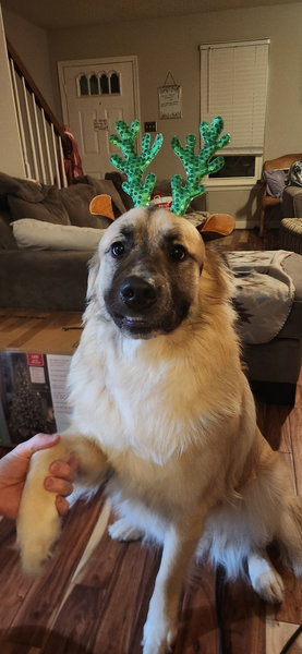 February 23, 2026 – Ragnar