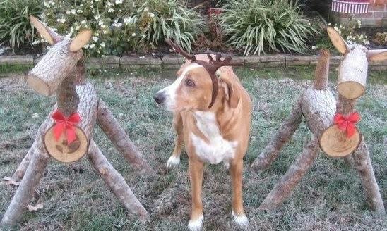 February 25, 2026 – Bentley