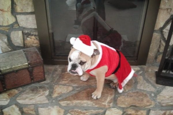 February 28, 2026 – Tootie February 28, 2026 – Tootie