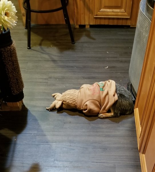 March 1, 2026 – Isabella Blue