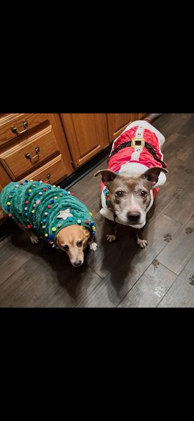 March 3, 2026 – Playa and Cinder March 3, 2026 – Playa and Cinder