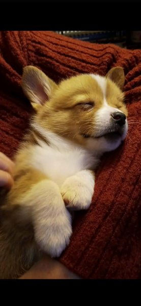 March 4, 2026 – Binksie March 4, 2026 – Binksie