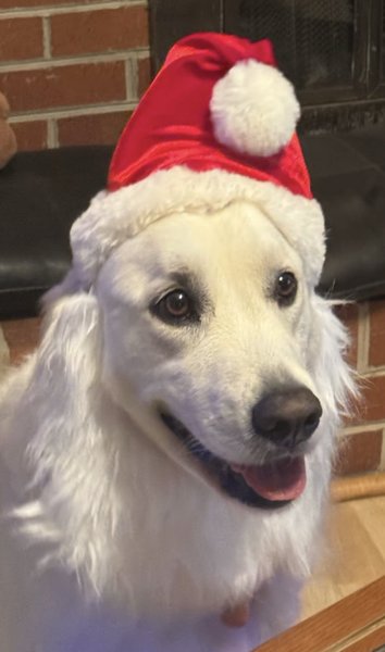 March 6, 2026 – Lonna