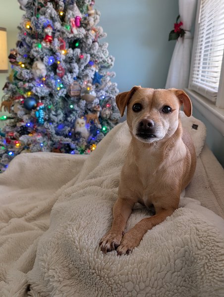 March 10, 2026 – Pearl