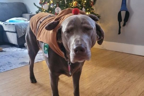 March 20, 2026 – Beau