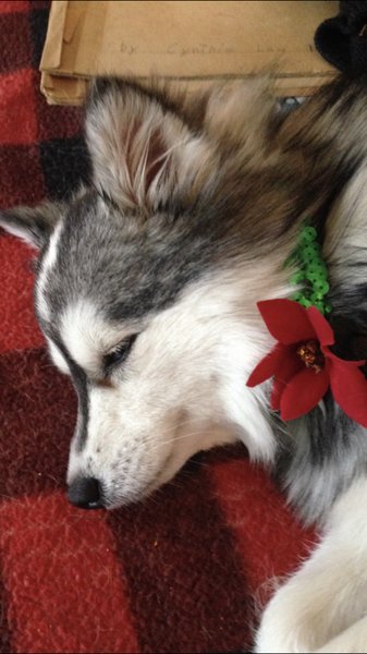 March 22, 2026 – Whisper