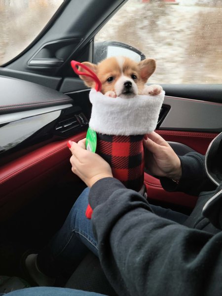 March 24, 2026 – Binxsey