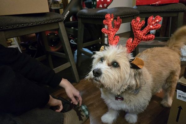 March 28, 2026 – Brie