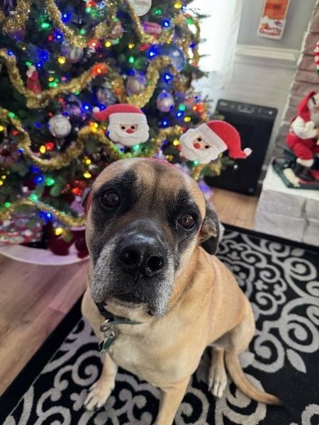 March 29, 2026 – Gronk