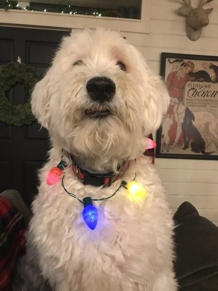 March 31, 2026 – Albus Dumbledore