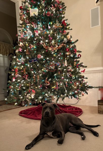 April 5, 2026 – Kenzie April 5, 2026 – Kenzie