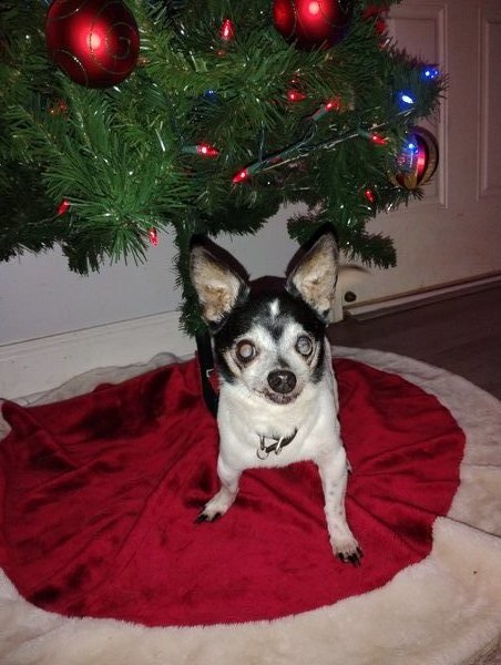 April 7, 2026 – Hokie