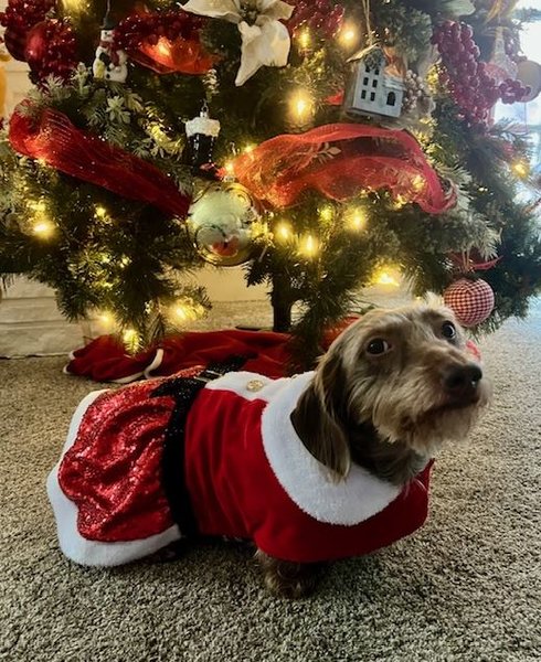 April 8, 2026 – Noel