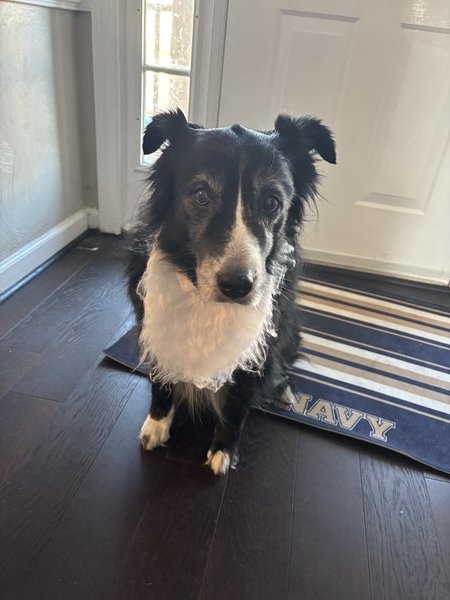 April 9, 2026 – Tootsie