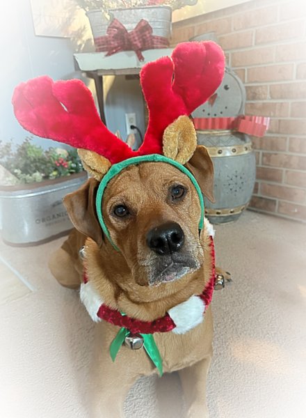 April 11, 2026 – Bailey