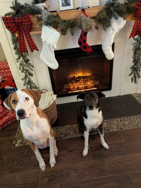 April 13, 2026 – Chief and Maximus