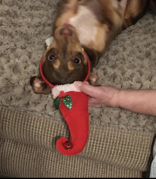 April 14, 2026 – Buddy April 14, 2026 – Buddy