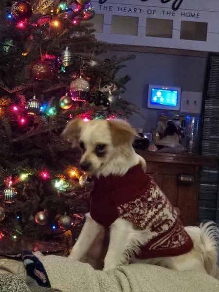 April 15, 2026 – Ozzy