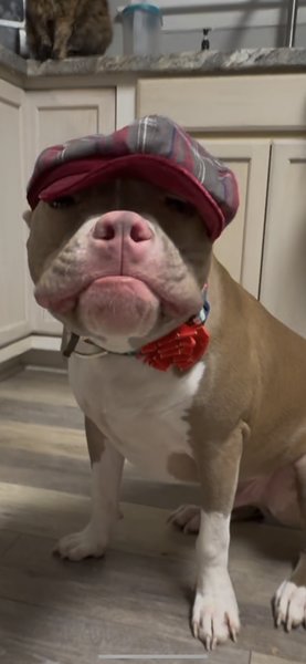 April 16, 2026 – Osiris April 16, 2026 – Osiris