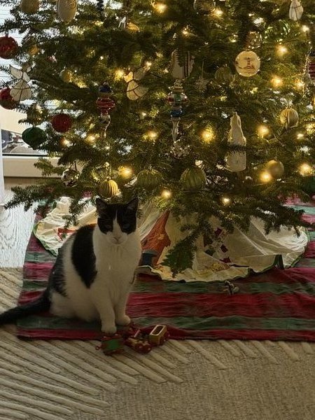 April 18, 2026 – Skittles