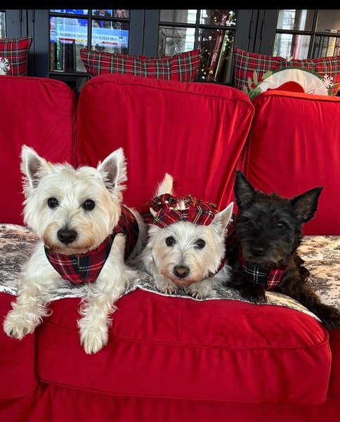 April 19, 2026 – Finley (left), Kailey and Floppy (right)