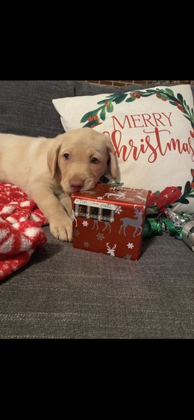 April 21, 2026 – Jake