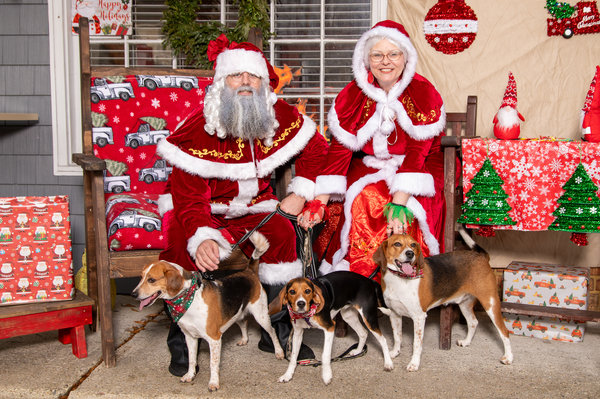 April 22, 2026 – Hammer, Timber, and Splinter