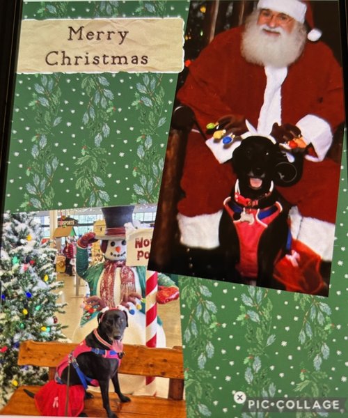 April 23, 2026 – Rose