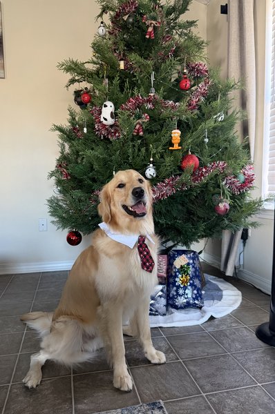 April 24, 2026 – Winston