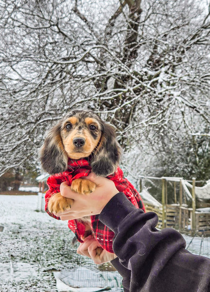 April 29, 2026 – Ivy