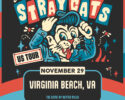 THE STRAY CATS
